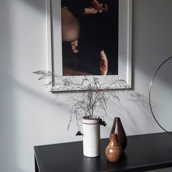 pexels-alexander-zvir-4120022